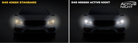 N5000K-D4S-car